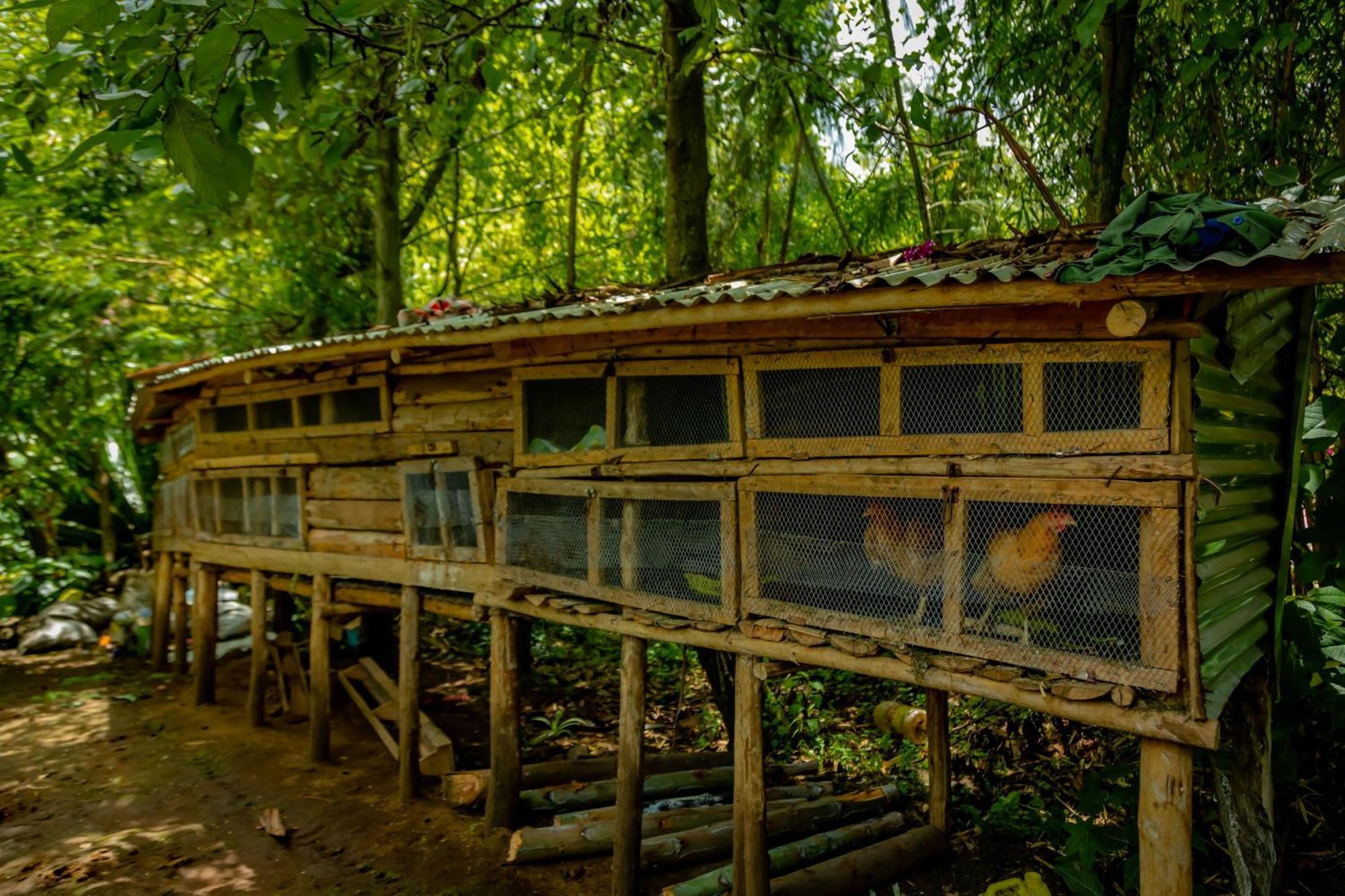 Fravan Eco Resort By Apogee Ruhengeri Eksteriør bilde